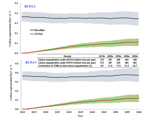 Carbon sequestration in China’s terrestrial ecosystems