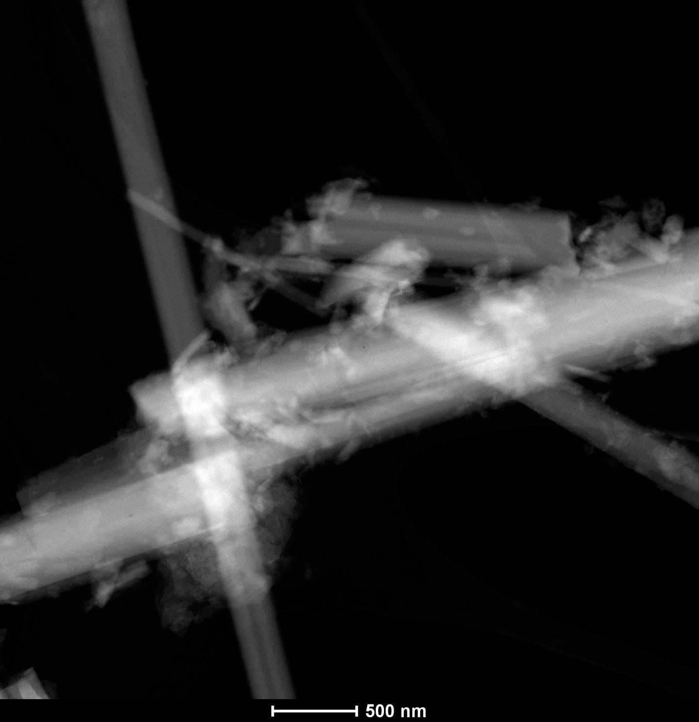 Fibers of the Mineral Erionite