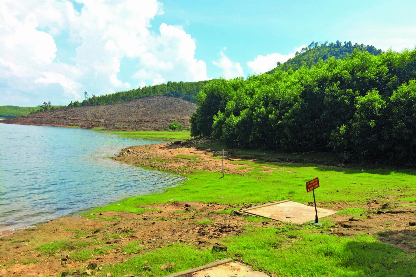 Habitat (<em>Pelodiscus variegatus</em>)