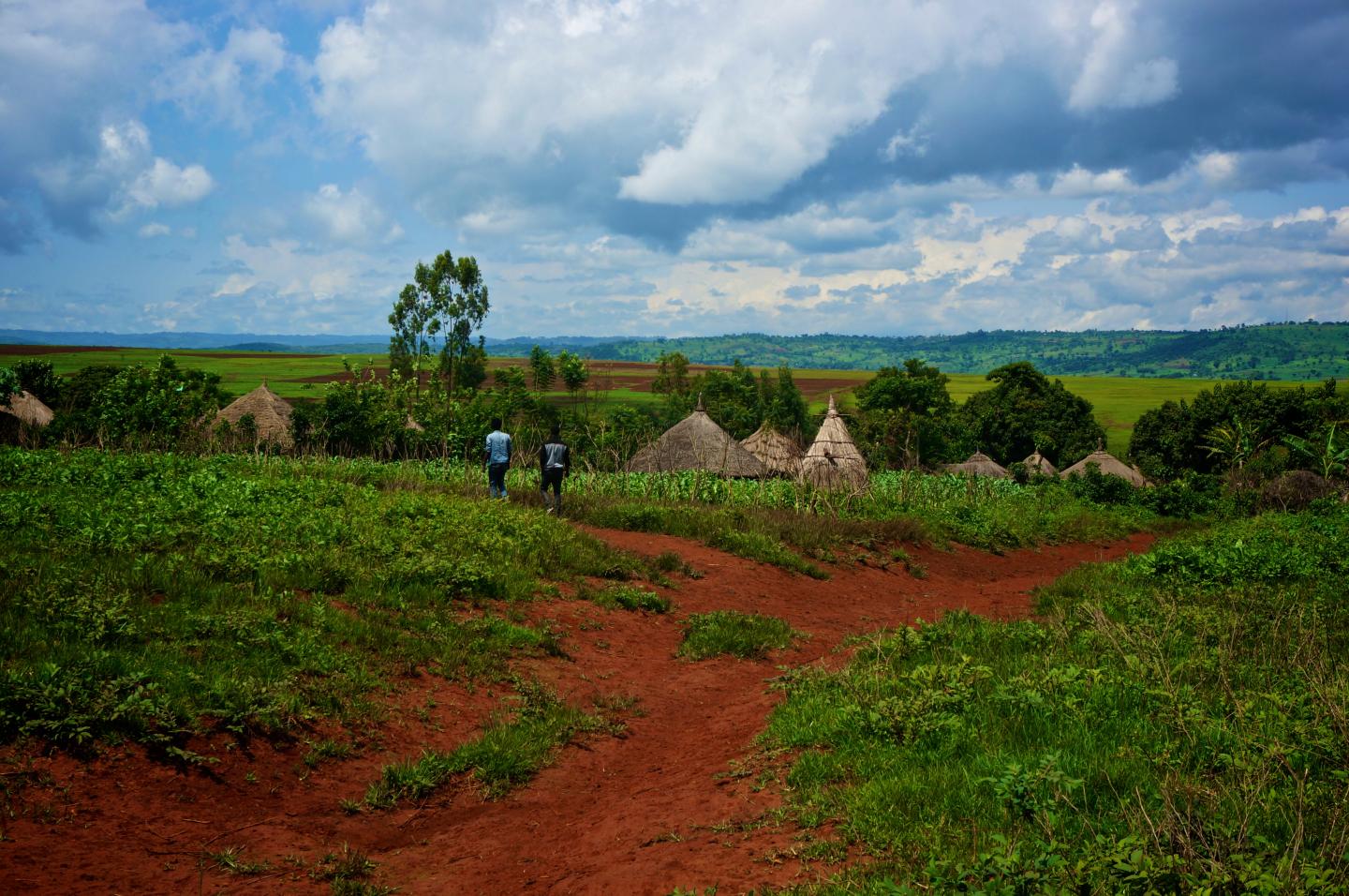 Village in Western Oromia