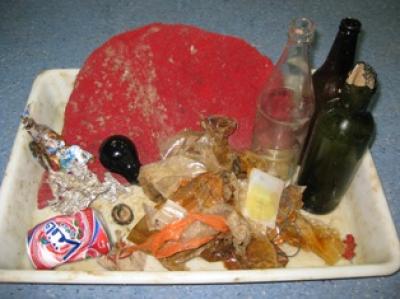 Litter at All Depths