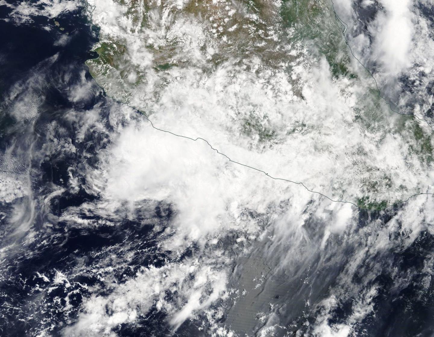 Terra image of Carlotta