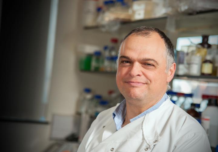 Jose Bengoechea, Queen's University Belfast