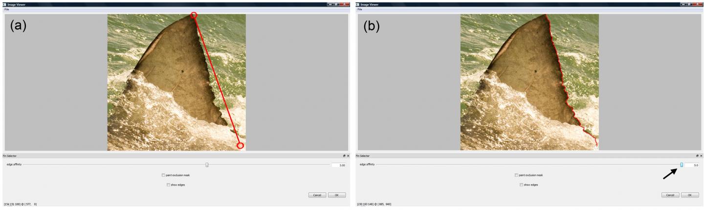 Identifin Interface (1 of 3)
