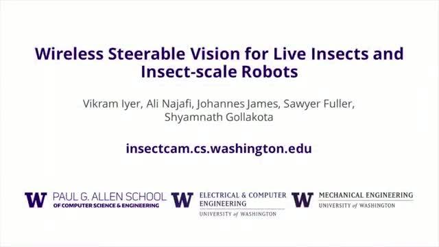 UW researchers create a camera backpack for insects or insect-sized robots