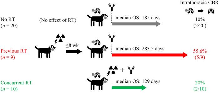 Effects of the different treatment strategies