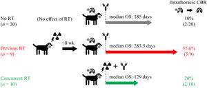 Effects of the different treatment strategies