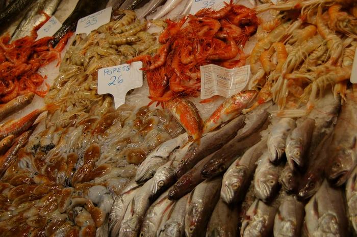Food Quality and Safety Review Highlights Emerging Physical and Chemical Seafood Preservation Techniques