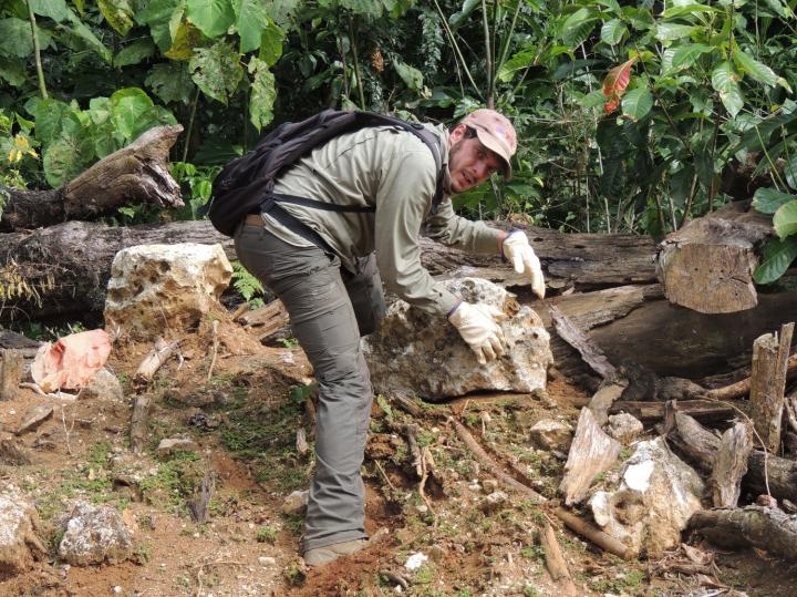 Surveying for Alien Vertebrates