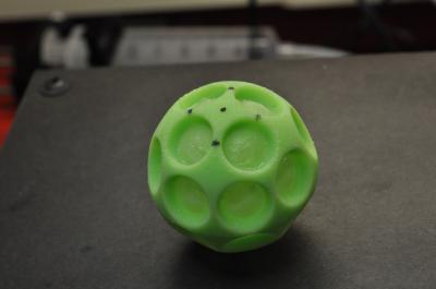 The Buckliball (1 of 2)