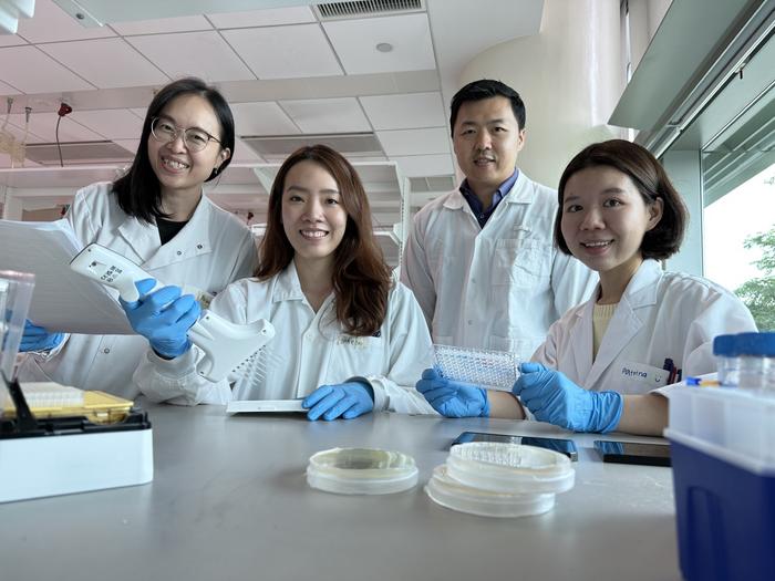 SMART AMR researchers Peiying Ho, Sharon Ling, Boon Chong Goh, and Patrina Chua (from left to right) performed compound screening to identify novel antibiotic combinations.