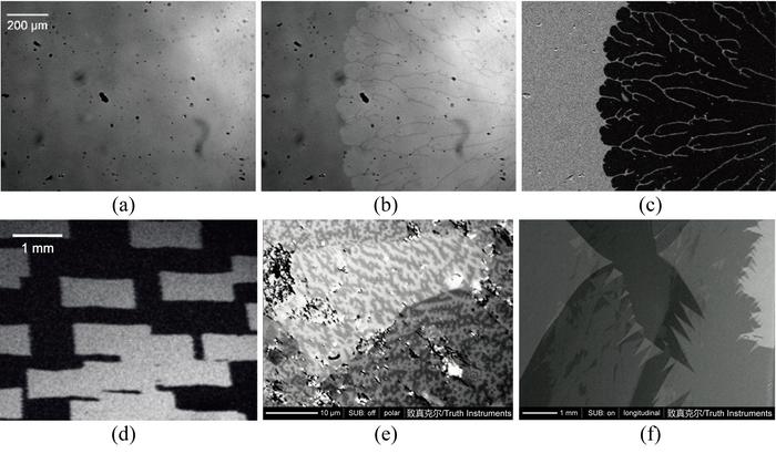 Capturing magnetic domain structures