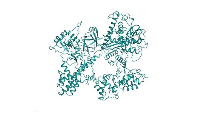 New CRISPR Structure