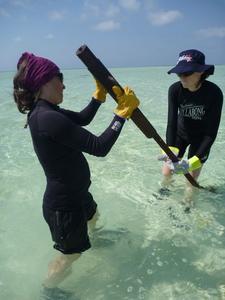 Ana Vila-Concejo and Hannah Power setting up fieldwork instruments at One Tree Island