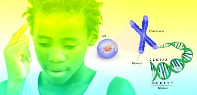 Stressful Environments Genetically Affect African American Boys