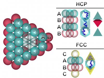 Sorting Crystal Shapes