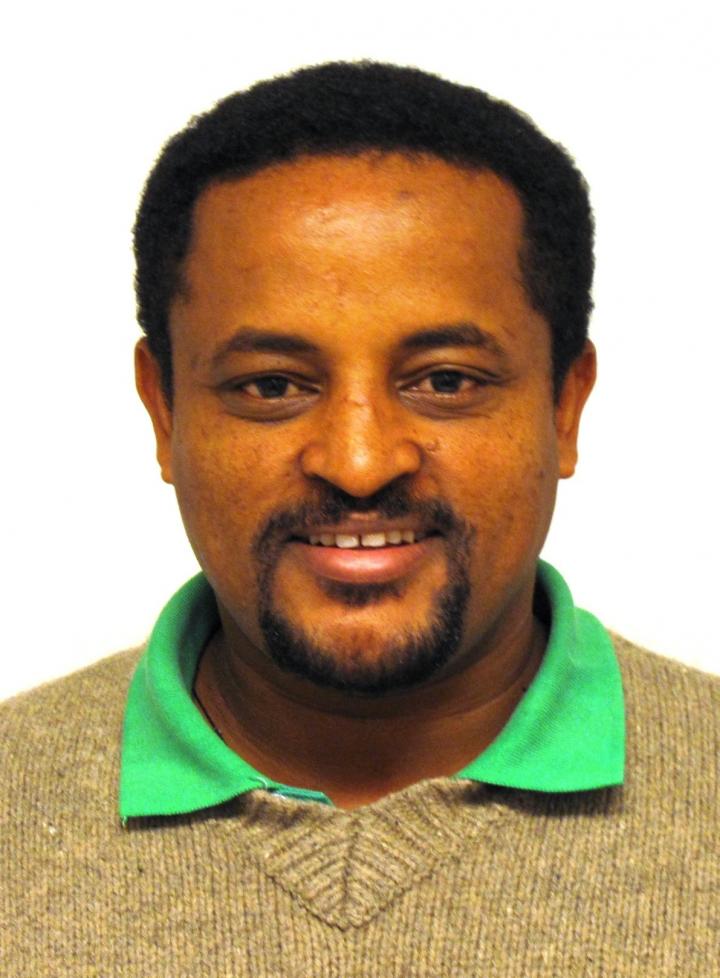 Hagos Godefay, Umeå University