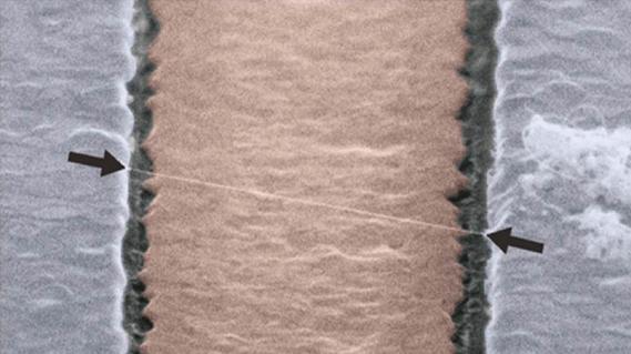 Carbon Nanotube Mechanical Resonator
