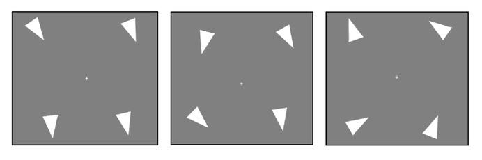 Example  Stimuli  of  Different  Ranges