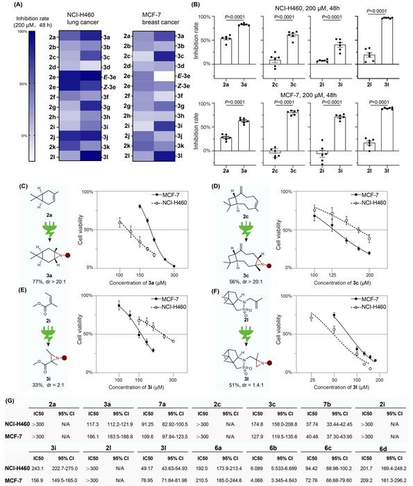 Anticancer effects in cell lines.