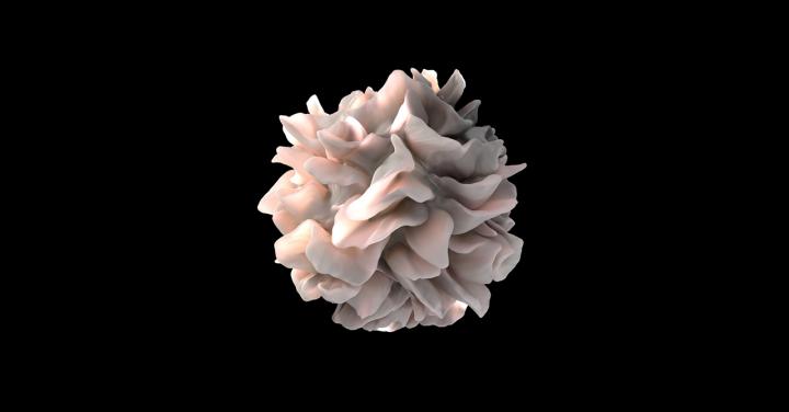 Dendritic Cell