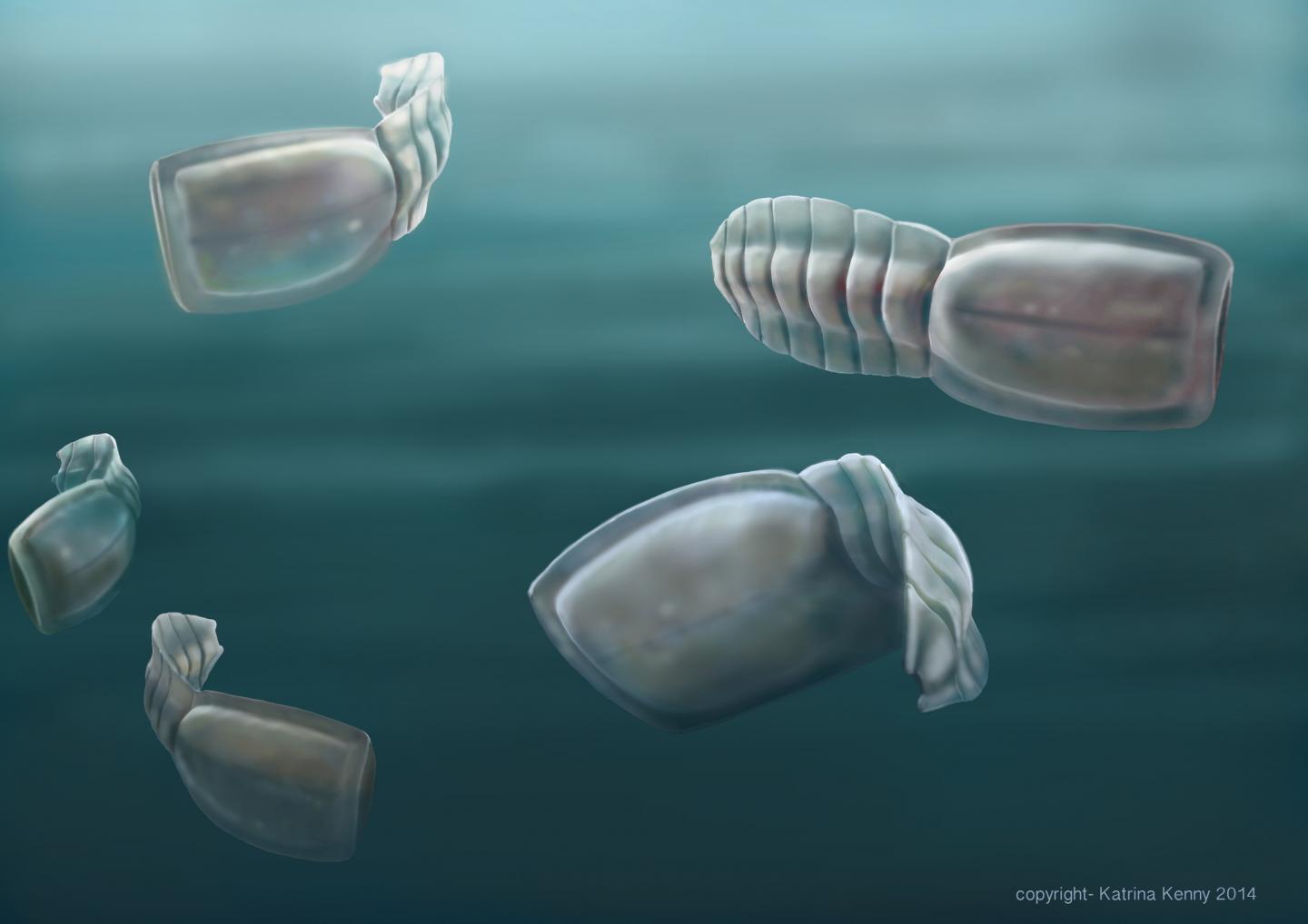 Ancient Fossils Confirmed Among Our Strangest Eurekalert 5969