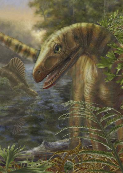 Prehistoric Dinosauriform <i>Asilisaurus</i>