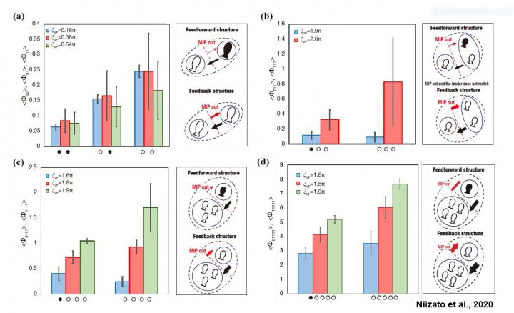 Fishing for a Theory of Emergent Behavior