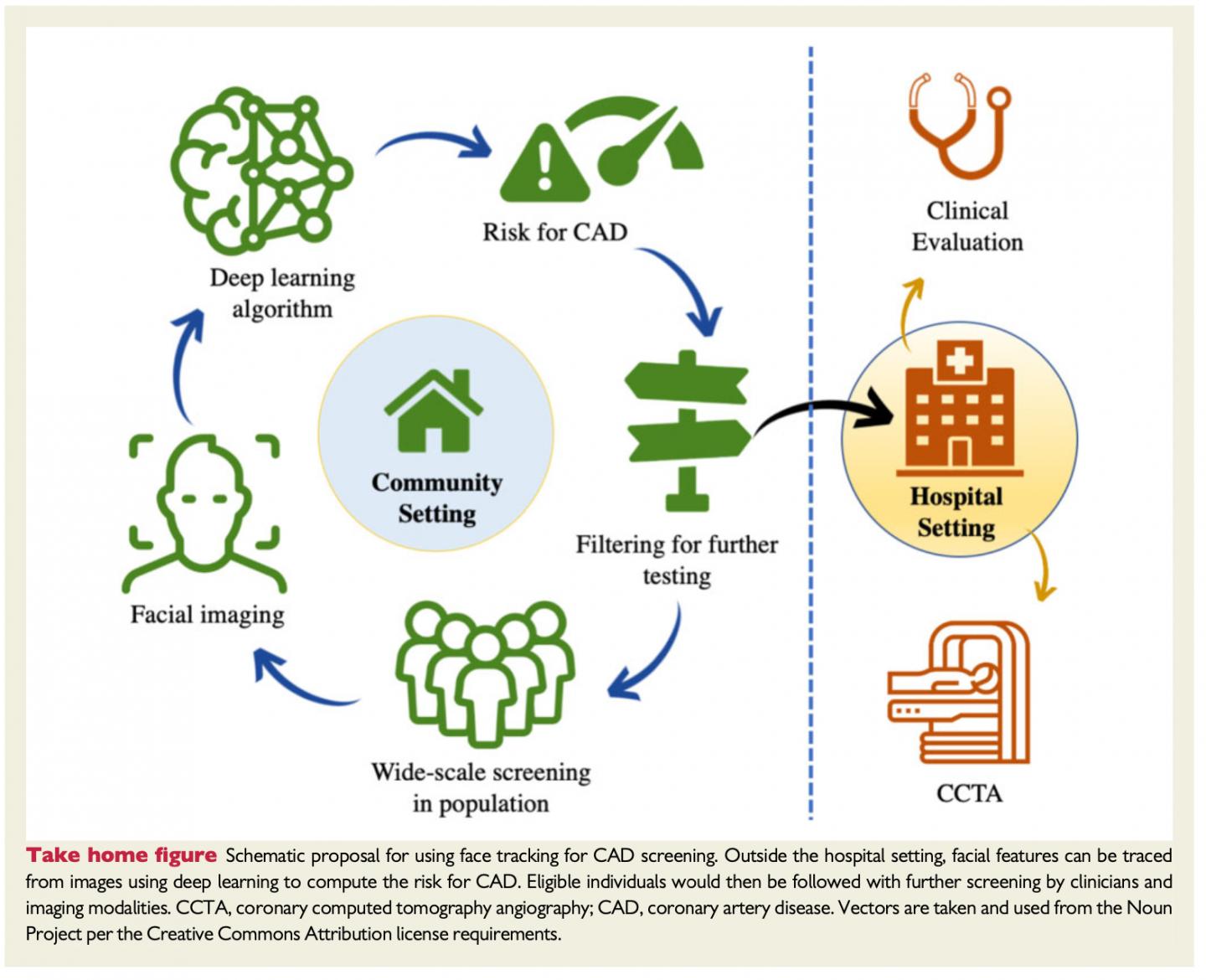 'Selfies' could be used to detect heart disease: new research uses artificial intelligence to analyse facial photos