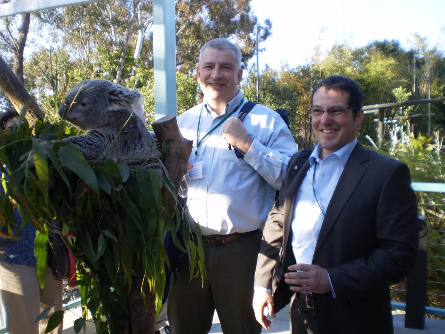 Alfred Roca, Alex Greenwood, University of Illinois and Leibnitz Institute