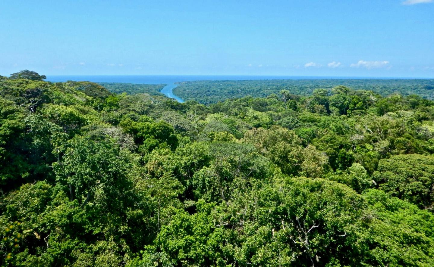 Fieldwork Site in San Lorenzo, Peru