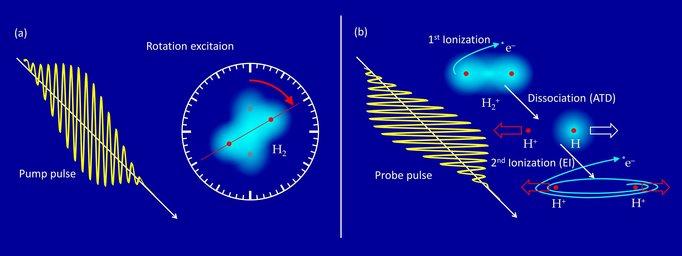 Rotational Excitation of H2 in the Pump Pulse