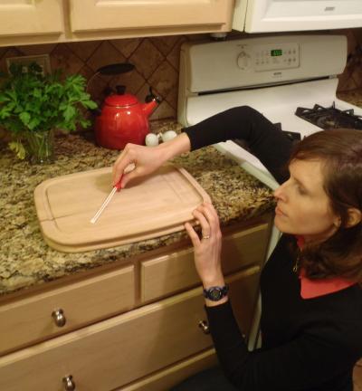 Sampling Bacterial DNA on Household Surfaces