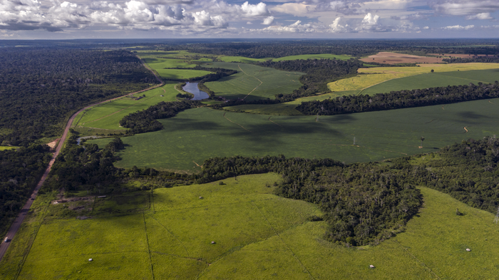 Mosaic of forests, pastures, and agriculture in the Brazilian Amazon