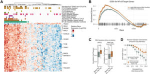 Oncotarget | NF-κB Over-Activation Portends Improved Outcomes in HPV-Associated Head and Neck Cancer