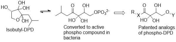 Chemical Diagrams Of Patented Analogs Of Phospho-DPD