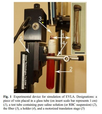 Endovenous Laser Ablation Simulation