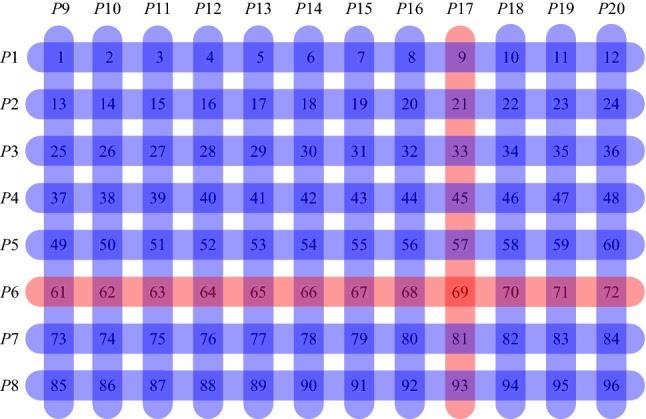 Fig. 1. Sample of swab grouping with transposition-based replication