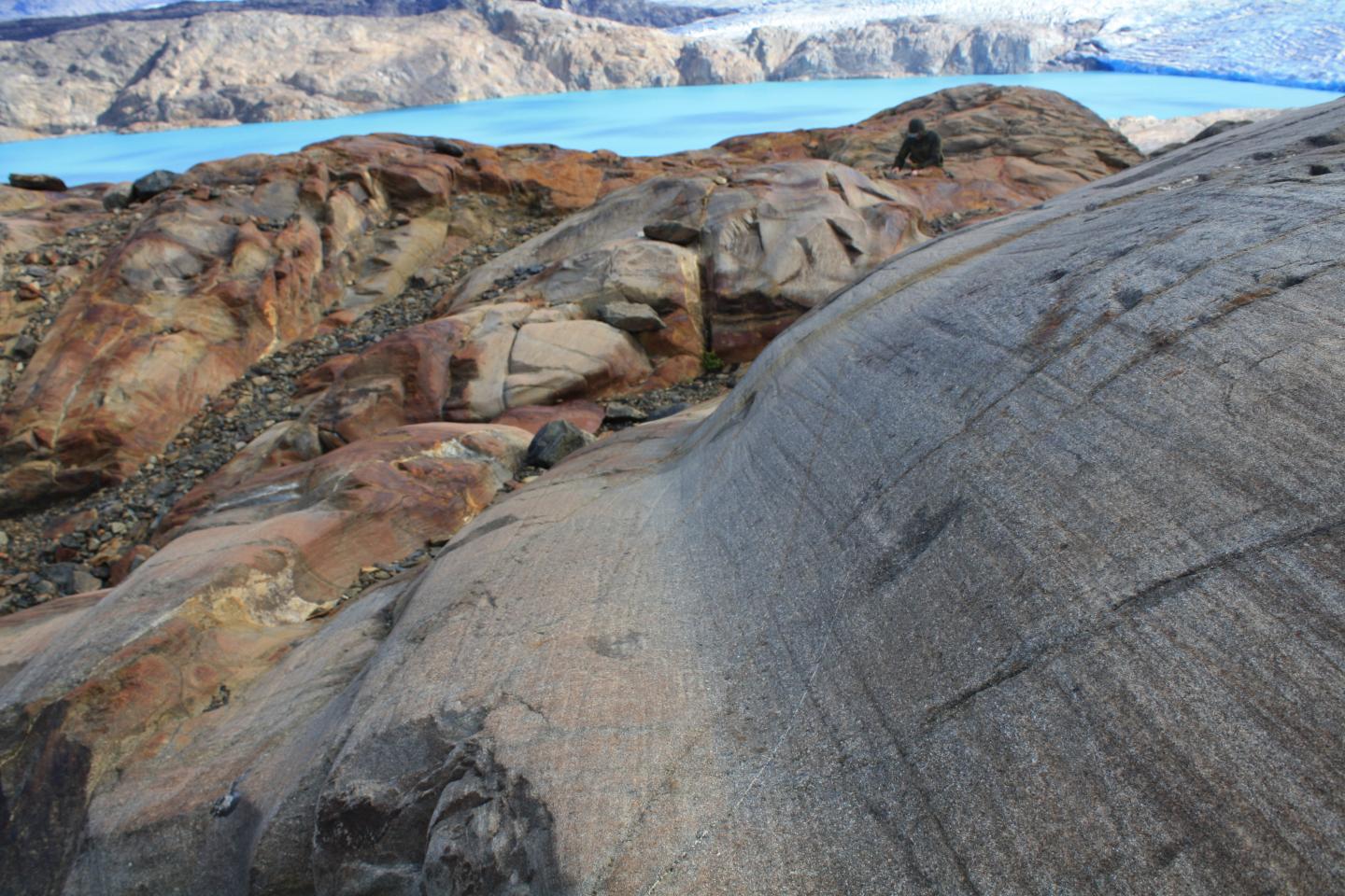 Photosynthetic Algae Feast on Form of Iron Found in Glacial Dust (4 of 4)