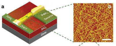 Proton-Based Transistor