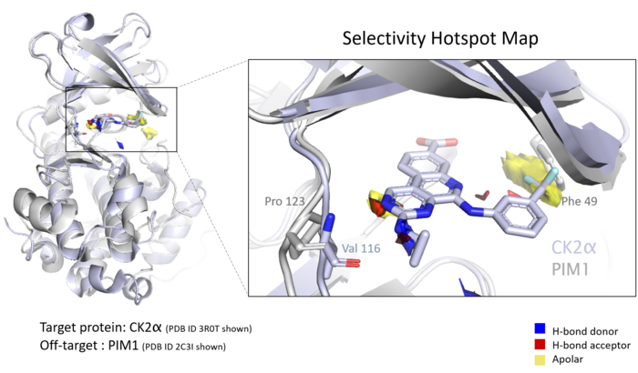 Selectivity hotspot map