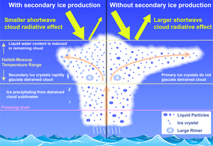 Cloud Ice Figure