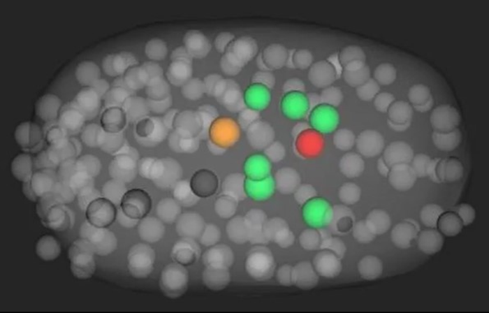 AI — Revealing hidden biology