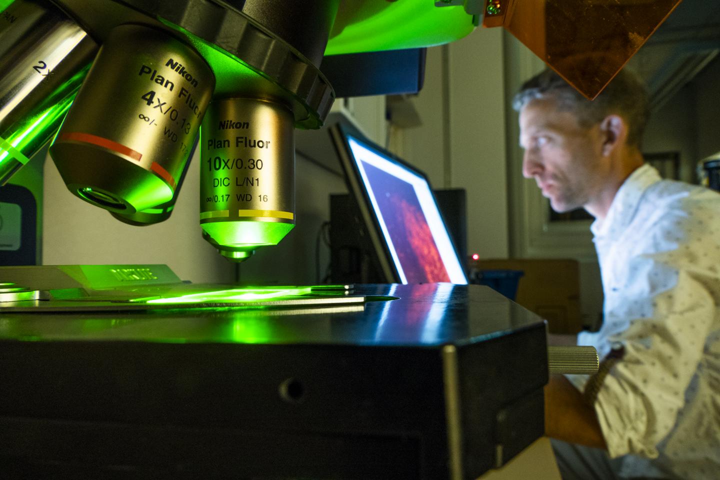 Mechanisms behind Aversion and Reward