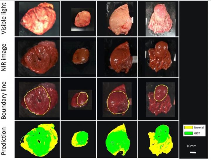 Near-infrared hyperspectral imaging combined with machine learning