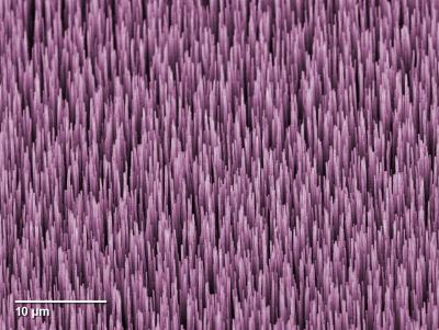 Prototype NIST Device Measures Absolute Optical Power in Fiber at Nanowatt Levels