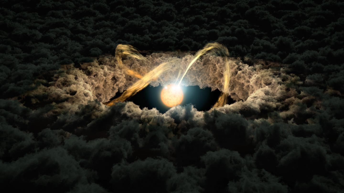 A Star Surrounded by a Protoplanetary Disk