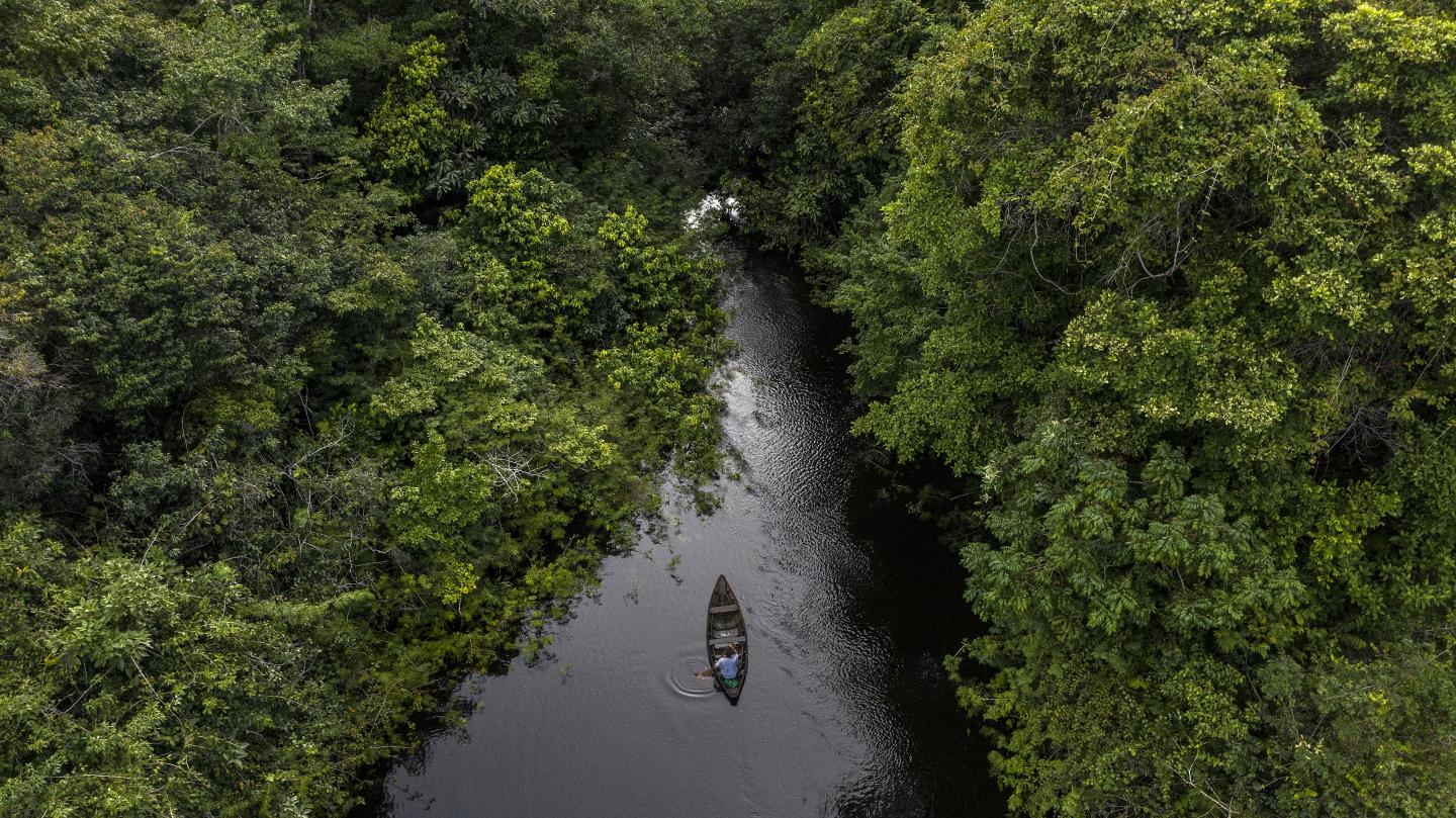 Species that Live in Rivers and Lakes