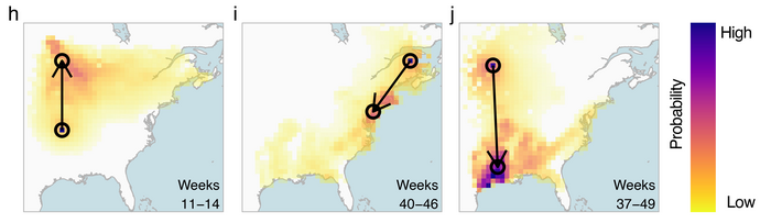 Forecast Distributions.