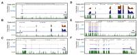 Total RNA-seq workflow and gene expression change profileTotal RNA-seq Workflow and Gene Expression 